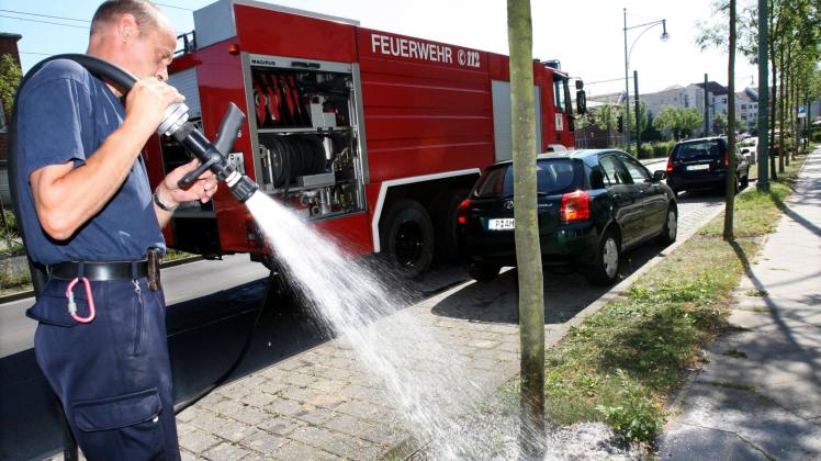 Ein Feuerwehrmann wässert junge Bäume mit Löschwasser. 