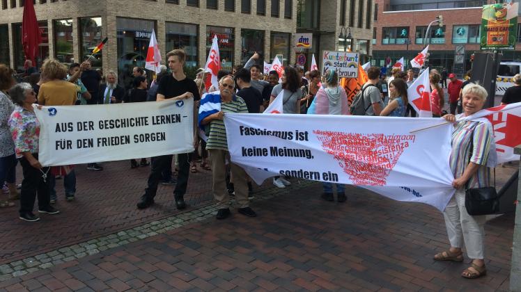 Mit bunten Plakaten protestieren die Teilnehmer in Pinneberg gegen die AfD. 