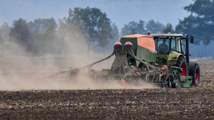 Durch die Einrichtung einer Modellregion wollen die Rostocker Forscher verhindern, dass Düngemittel der Landwirte die Warnow verschmutzen.