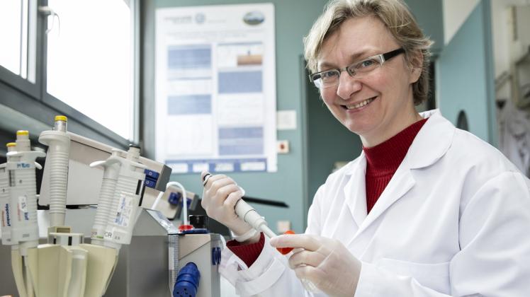 In ihrem Labor isoliert Professorin Inna Sokolova Mitochondrien, die sozusagen als Kraftwerke der Zellen tätig sind. 
