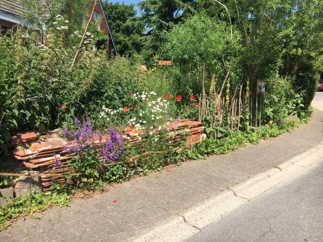 Die Natur im