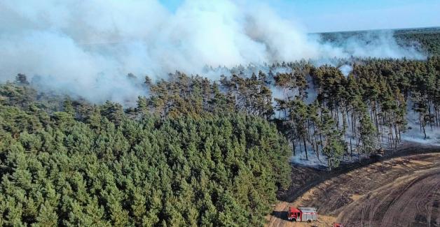 Großeinsatz für die Feuerwehren bei Groß Laasch Anfang Juli: Das Feuer, das auf einem abgeernteten Feld ausgebrochen war, griff auf den Wald über.