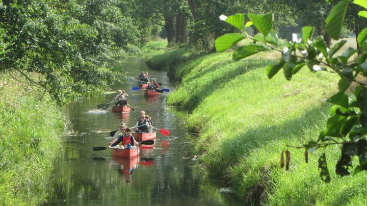 Paddeltour auf der Sude: Mit dem Ranger im Kanadier von Redefin bis nach Brömsenberg. Paddeltour auf der Sude: Mit dem Ranger im Kanadier von Redefin bis nach Brömsenberg.