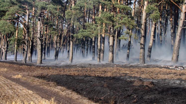 Seit Mittwoch kämpfen Feuerwehrleute gegen einen Barnd nahe Groß Laasch. Die A14 ist weiterhin gesperrt.