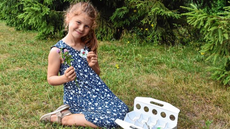Und wieder etwas entdeckt: Die achtjährige Lena hat beim Spielen auf der Wiese den roten Klee entdeckt, der ihr in ihrer Sammelkiste noch fehlte.  Fotos: Antje Kindler 