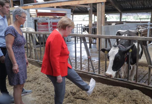 Angela Merkel (M.) besichtigt den Kuhstall in Nienborstel.