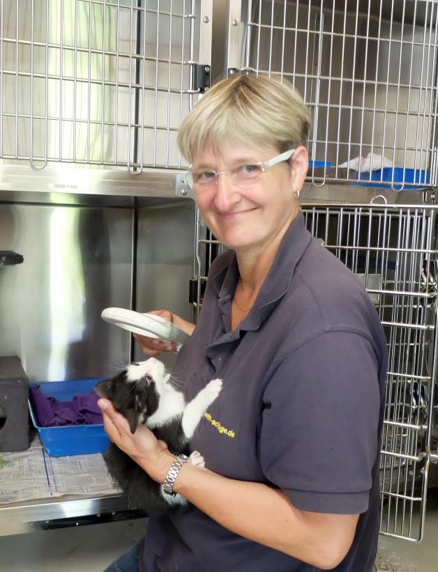Katzen mit Chip kann Tierheimmitarbeiterin Regina Groß mit dem Lesegerät schnell zuordnen und die Besitzer einer Fundkatze informieren.