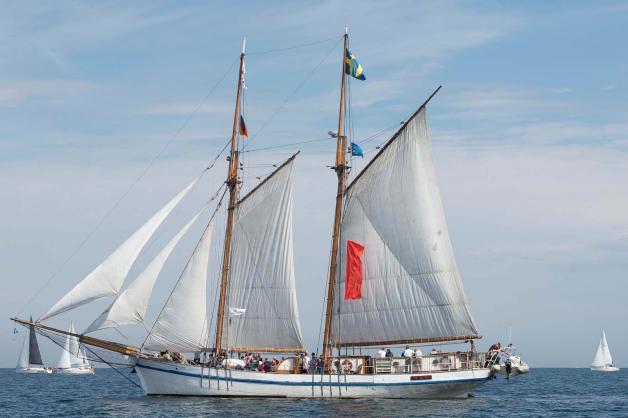 Für NNN-Abonnenten für Ausfahrten bei der diesjährigen Hanse Sail gechartert: „Ingo“ (unten) und „Tre Hjärtan“. Fotos: Sail-Büro/Lutz Zimmermann Für NNN-Abonnenten für Ausfahrten bei der diesjährigen Hanse Sail gechartert: „Ingo“ (unten) und „Tre Hjärtan“. Fotos: Sail-Büro/Lutz Zimmermann
