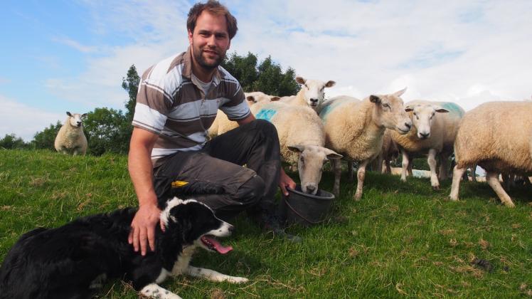 Normalerweise ist alles in Ordnung: Simon Stajohann hier mit Border-Collie-Dame Lucy und einigen seiner Schafe auf dem Deich in Kollmar. 