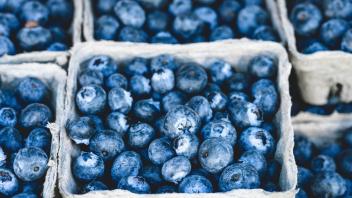 Der Saft der Heidelbeere ist aufgrund des blauen Farbstoffs Anthocyan intensiv blau gefärbt. Anthocyane sind sekundäre Pflanzenstoffe. Sie gehören zu den Antioxidanzien, die den Körper vor schädlichen freien Radikalen schützen. Weitere wertvolle Inhaltsstoffe sind Ballaststoffe, Fruchtsäuren, Mangan, Mineralstoffe wie Magnesium, Vitamin E und Vitamin C.
