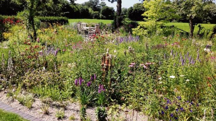 Blütenvielfalt im Präriegarten SHZ