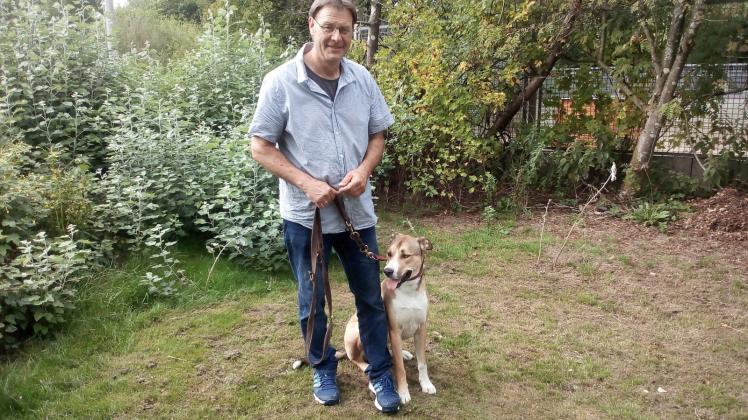 Tierheimleiter Stefan Bargmann sucht für Husky-Schäferhundmischling Romeo ein neues Zuhause.