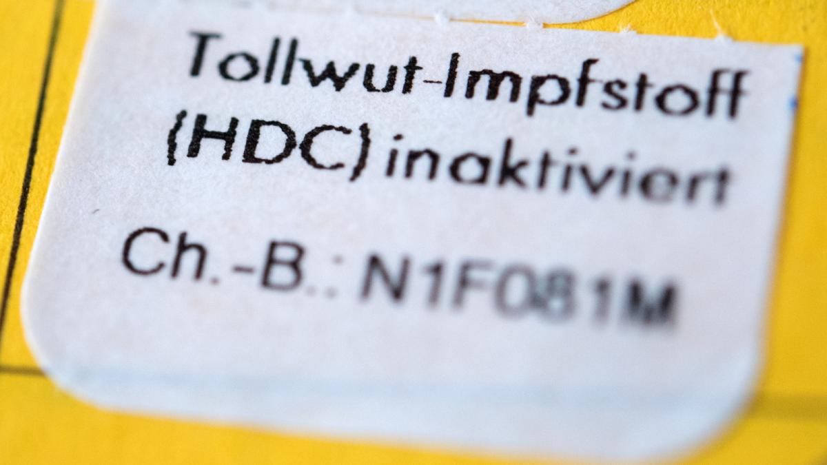 Tollwut 2 Impfung Zu Spät www.svz.de