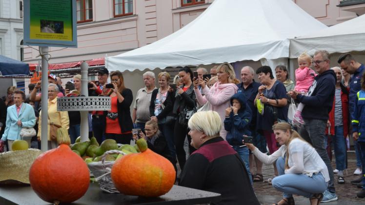 Gelegentliche Vorführungen an den Ständen und Kulturprogramm auf der kleinen Bühne weckten das Interesse der Besucher. Gelegentliche Vorführungen an den Ständen und Kulturprogramm auf der kleinen Bühne weckten das Interesse der Besucher.