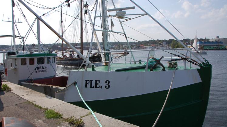 Flensburg macht Schluss mit "Irene". Die Stadt verbietet die Muschelfischerei.
