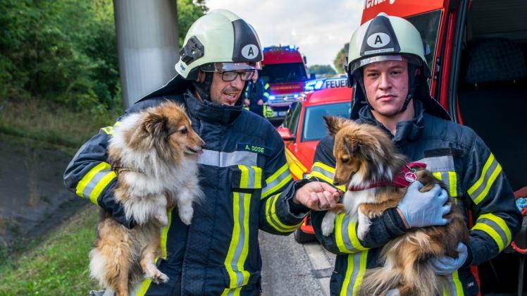 Feuerwehr Rettet Mensch Und Tier | SHZ