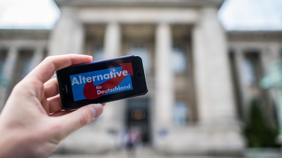 „Schäbig“: Hamburger AfD Kontert Extremismusvorwurf | SHZ