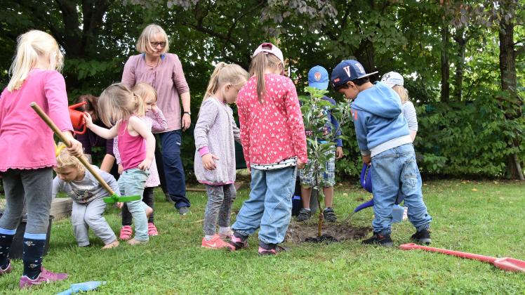 Im Rahmen der Klimapakt-Exkursion bei der Kita Marienallee (Träger Adelby 1) wurde unter der Anleitung der Naturgruppenleiterin Britta Glöe (Bild hinten) mit den Kindern ein Baum gepflanzt.