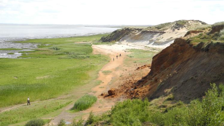 Das Morsum-Kliff ist eines der ältesten Naturschutzgebiete.