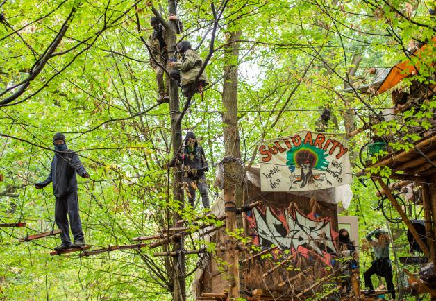 Aktivisten im Hambacher Forst: Die ersten Baumhütten wurden am Donnerstag geräumt. Aktivisten im Hambacher Forst: Die ersten Baumhütten wurden am Donnerstag geräumt.