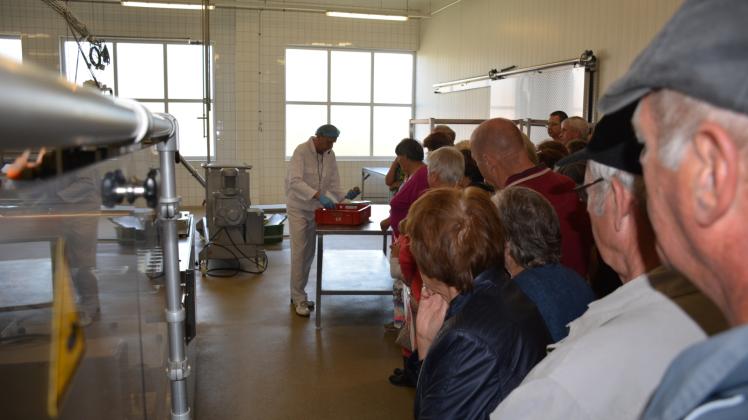 Ein Blick in die Produktion: Reiner Dowe zeigt den Besuchern, wie die bekannten Frischkäse-Törtchen früher von Hand gepfeffert wurden. 