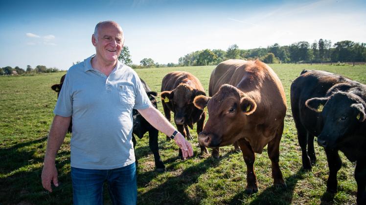 Glücklich auf der Weide: Heinz Gluth mit seinen Angus Fleischrindern in Schimm 