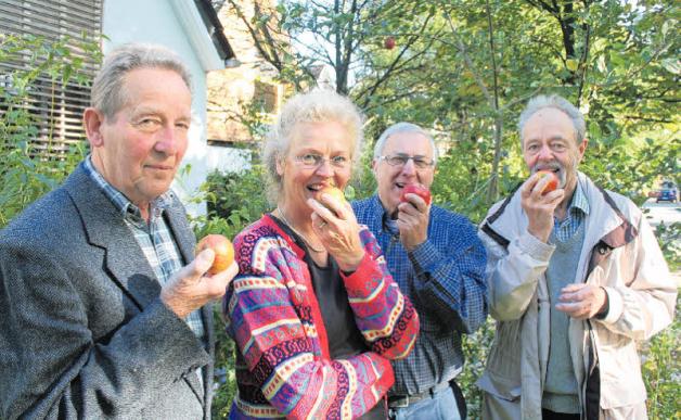 Auf dem Energieforum am 22. und 23. Oktober wird das Agenda-21-Team erntefrische Äpfel und gekelterten Apfelsaft anbieten: Wolfgang Tröger (von links), Sabine Schaefer-Maniezki, Hansjörg Mauch und Peter Gudelius. 