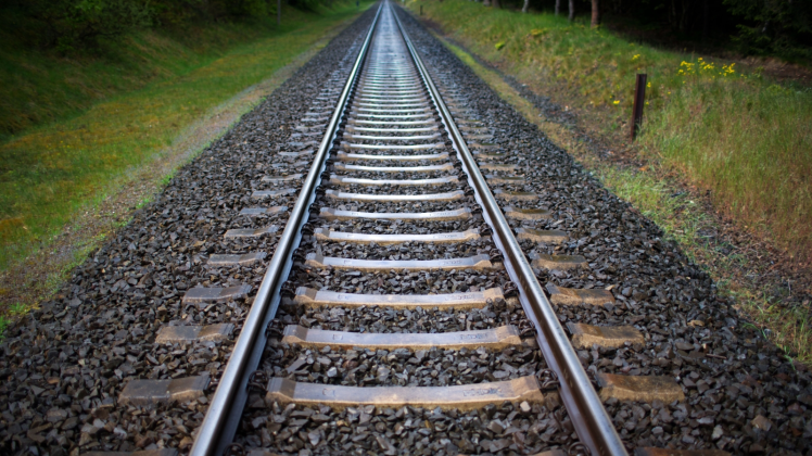 Ein Zugführer hatte auf der Bahnstrecke von St. Peter Ording nach Tönning Rinder im Gleis gesichtet. 