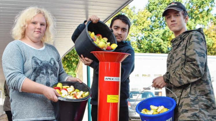 Teamarbeit: Chantal Möller, Hamid Barakat und Jeremy Kleiber (von links) befüllen den Häcksler mit Äpfeln. 