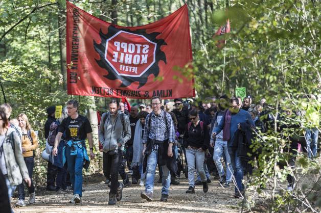 Am Hambacher Forst soll es am kommenden Samstag zu Protestaktionen mit über 20.000 Menschen kommen. 