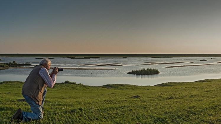 Einzigartige Natur-Motive: Jedes Jahr geht Gerhard Paul mit den Teilnehmern seiner Fototage in den Nationalpark Wattenmeer.