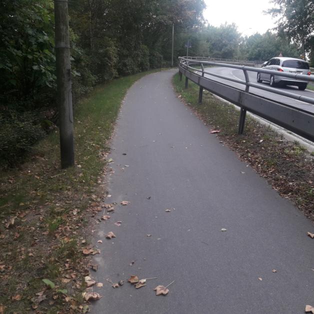 So geht es auch: Der Geh- und Radweg an der Kreisstraße 21 von Pinneberg nach Kummerfeld ist gut ausgebaut. So geht es auch: Der Geh- und Radweg an der Kreisstraße 21 von Pinneberg nach Kummerfeld ist gut ausgebaut.