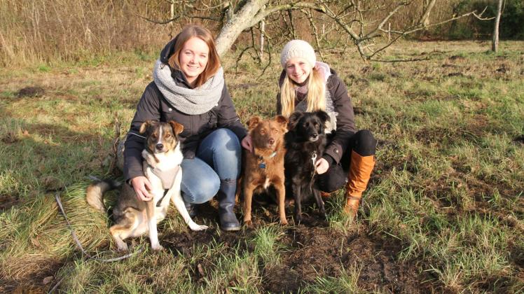 Svea Thomsen (l.) und Kimberly Petersen mit den drei geretteten Hunden „Yoda“ (v.l.), „Duke“ und „Ava“. 