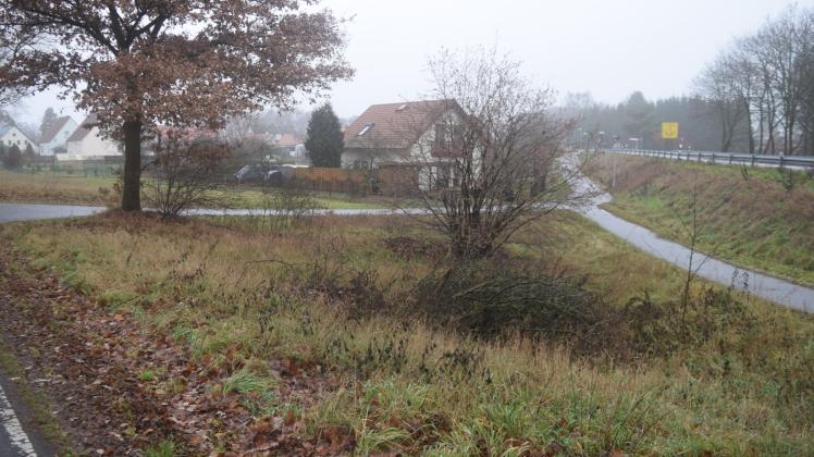 Die Gemeinde Dabel hat Teile des Baumschnitts auf dem Dreieck am Roten Strumpf deponiert. Für Anwohner ist das ein Schandfleck.