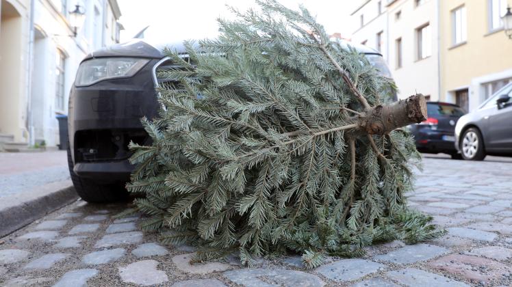 Ein Weihnachtsbaum liegt in Wismar auf der Straße und wartet auf Abholung.