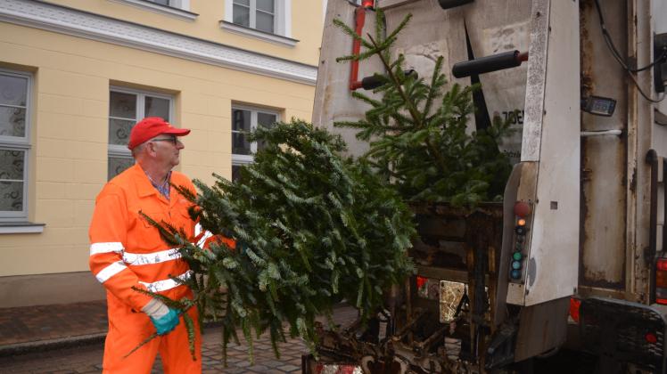 Weg mit den Weihnachtsbäumen: Mitarbeiter des Entsorgungsunternehmens Veolia aus Karow räumten gestern bereits die Weihnachtsbäume in der Güstrower Domstraße ab. 