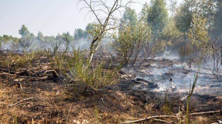 Im vergangenen Sommer hielten zwei große Waldbrände die Feuerwehren im Landkreis Ludwigslust-Parchim in Atem. 
