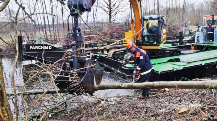 Uferpflege- und Verkehrssicherungsarbeiten an der Müritz-Elde-Wasserstraße: Sägenführer Marcel Jasdz und Baggerführer Bernd Tiede räumen Gehölze ab.  