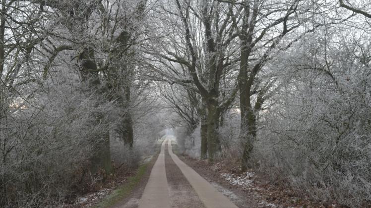 Winterlandschaft zwischen Klein Jarchow und Holdorf: Wie wärs mit einer Wanderung? 