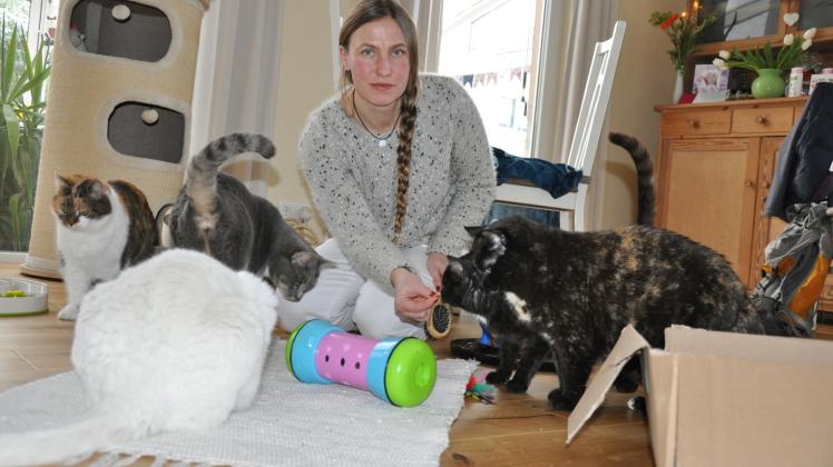 Viel spielen rät Tierpsychologin Susan Pioch Katzenbesitzern zur Festigung der Mensch-Tier-Beziehung. 