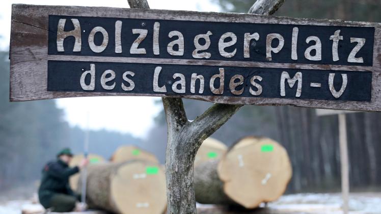 Wertholzauktion in Mecklenburg-Vorpommern