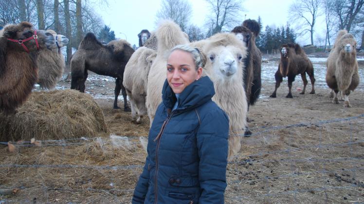 Die Kamele des Zirkuses hatten trotz des Winters in Gadebusch einen guten Auslauf, das weiß Artistin Gina Sperlich zu schätzen. 