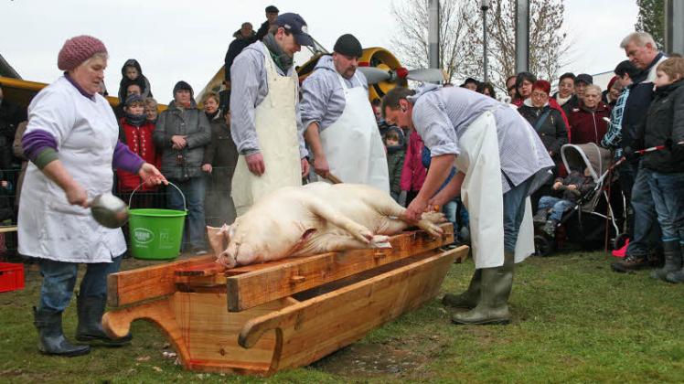 Fachkundig nach Hausschlachterart wird das Schwein, bereits ohne Borsten, zum Zerlegen vorbereitet. 