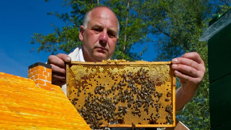 Holger Ackermann vom Landes-Imkerverband zeigt hier eine seiner Bienenstöcke. 