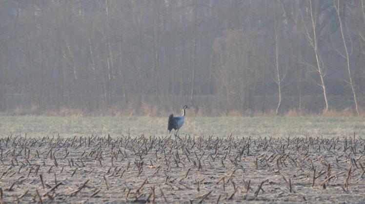 dsc_0652 dsc_0652