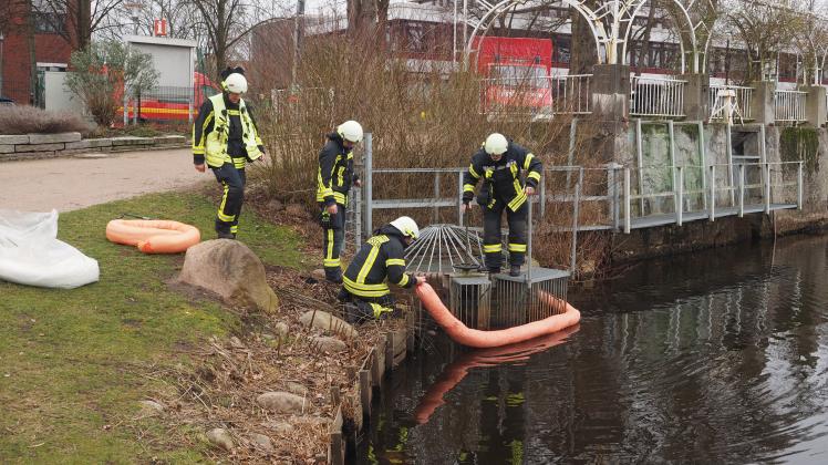 (Plus) Ölfilm verschmutzt Teich im Rosarium SHZ