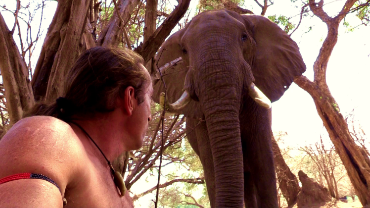 Begegnungen mit Elefanten können auch zur Routine werden. 