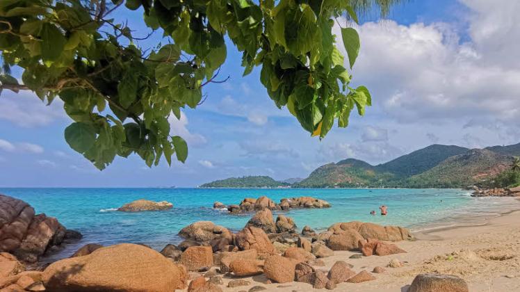 Traumhaft schön: Strände mit weißem Sand und türkisfarbenem Wasser gibt es auf den Seychellen zur Genüge.  Foto: JUTTA LEMCKE 