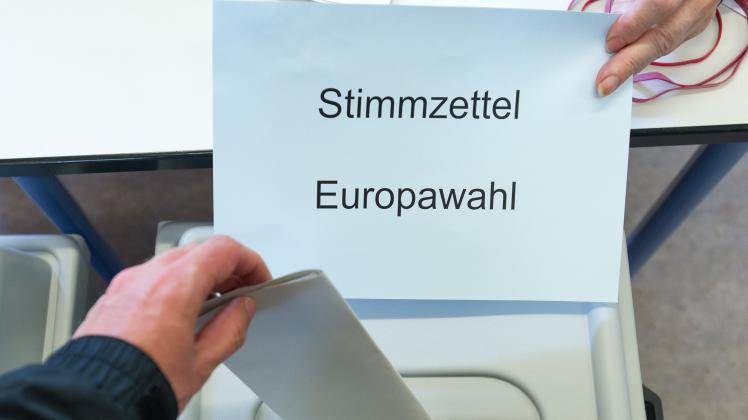 Europawahl Europawahl
