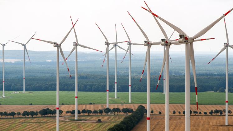 Windkraft-Debatte in Rieps